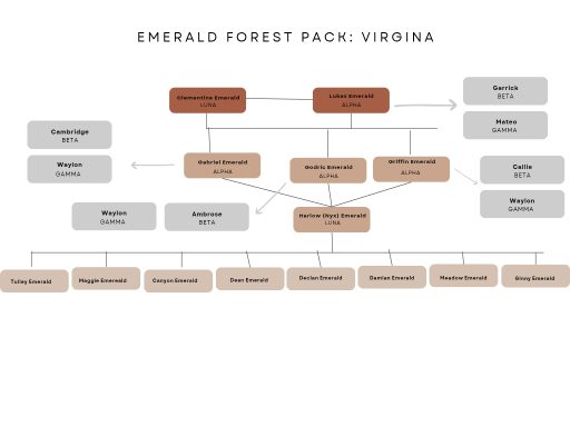 Emerald Forest pack