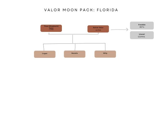 Valor Moon pack